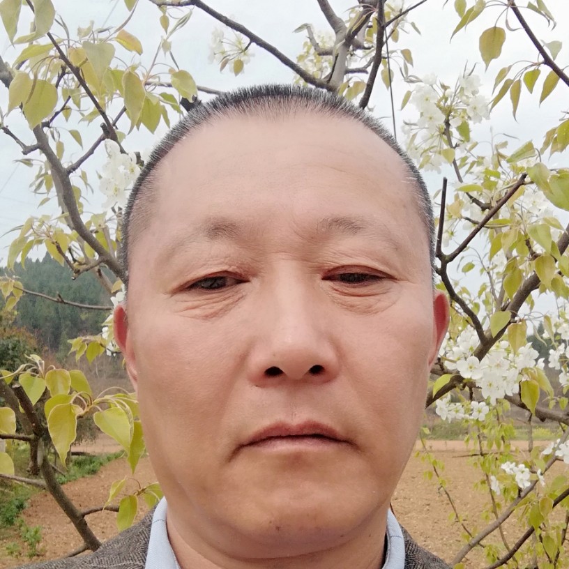 孤独多么鸡翅的照片