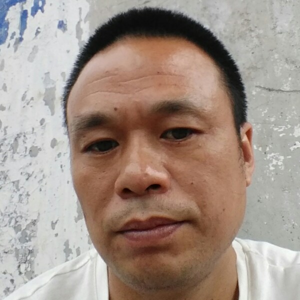 沉静磬音的照片