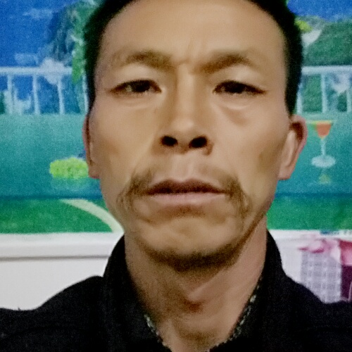 我不想去流浪的照片