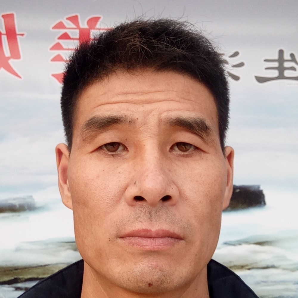 日记本风中的照片