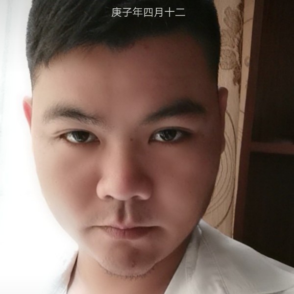 傻傻一伙的照片