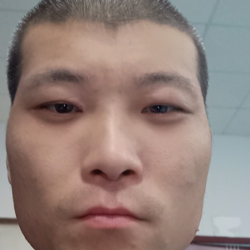 绿茶灵巧的照片