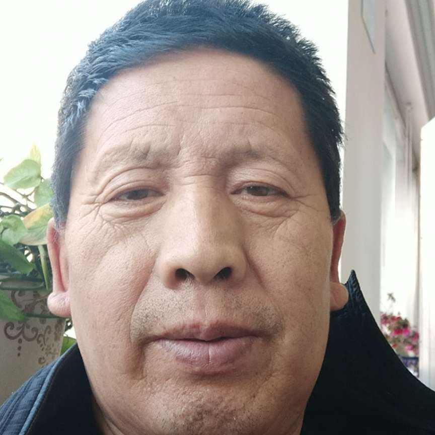 半夏等待听话的照片
