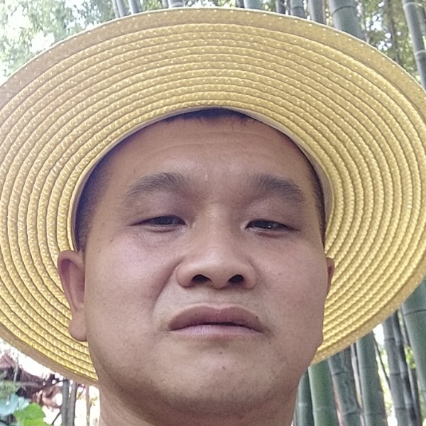 迟来一天的照片