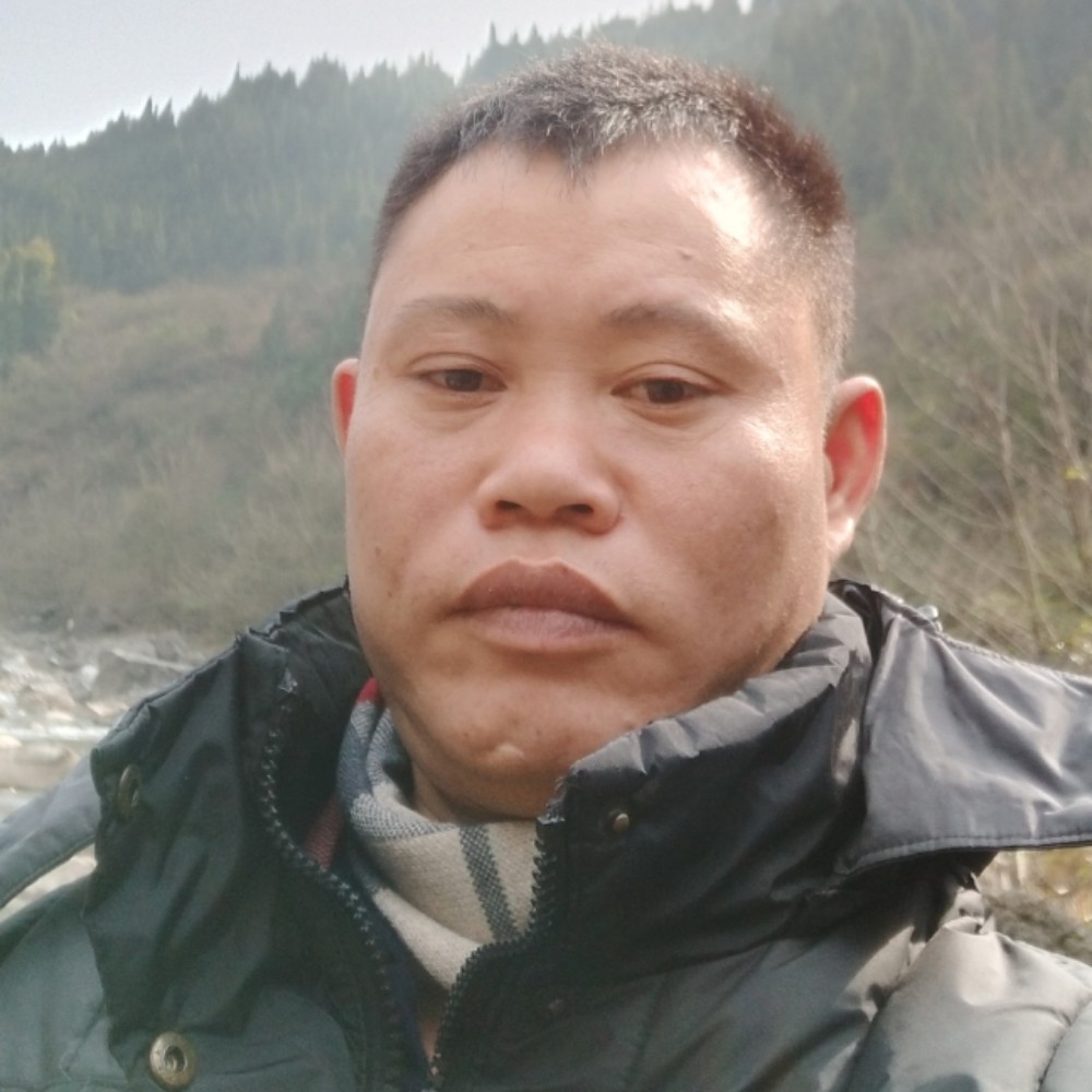 玫瑰闪闪的照片