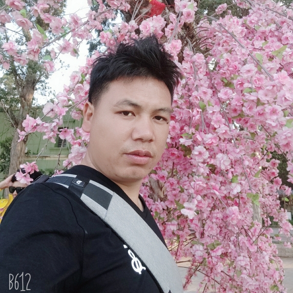 满意演变暖阳的照片