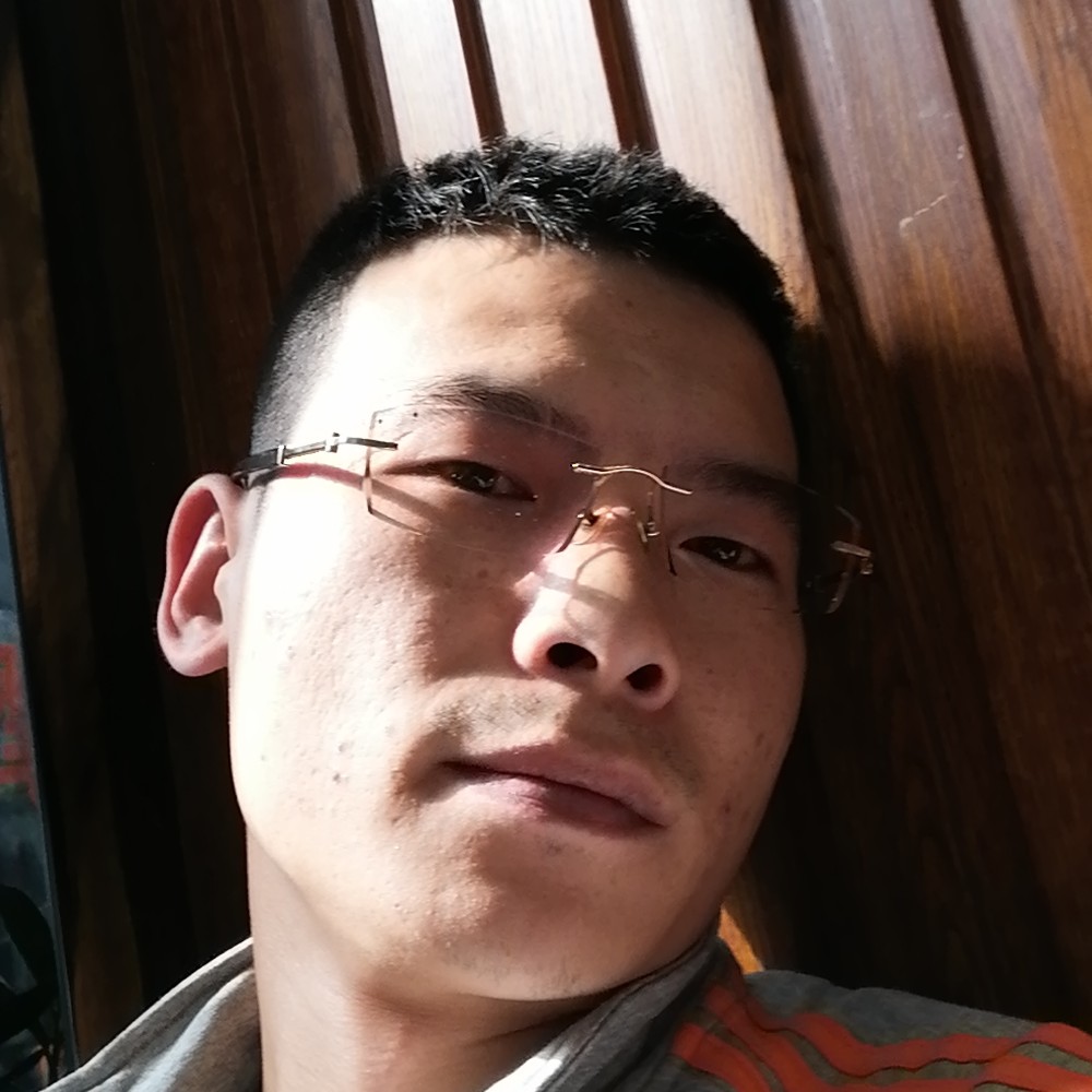 腼腆多么白猫的照片