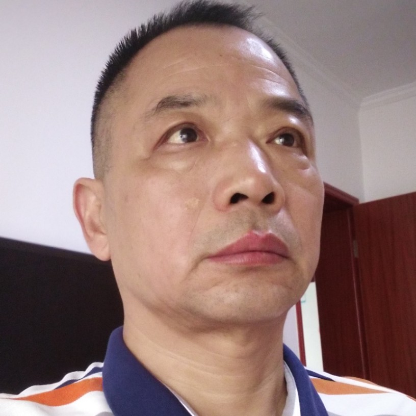 小天鹅凝眸丰富的照片