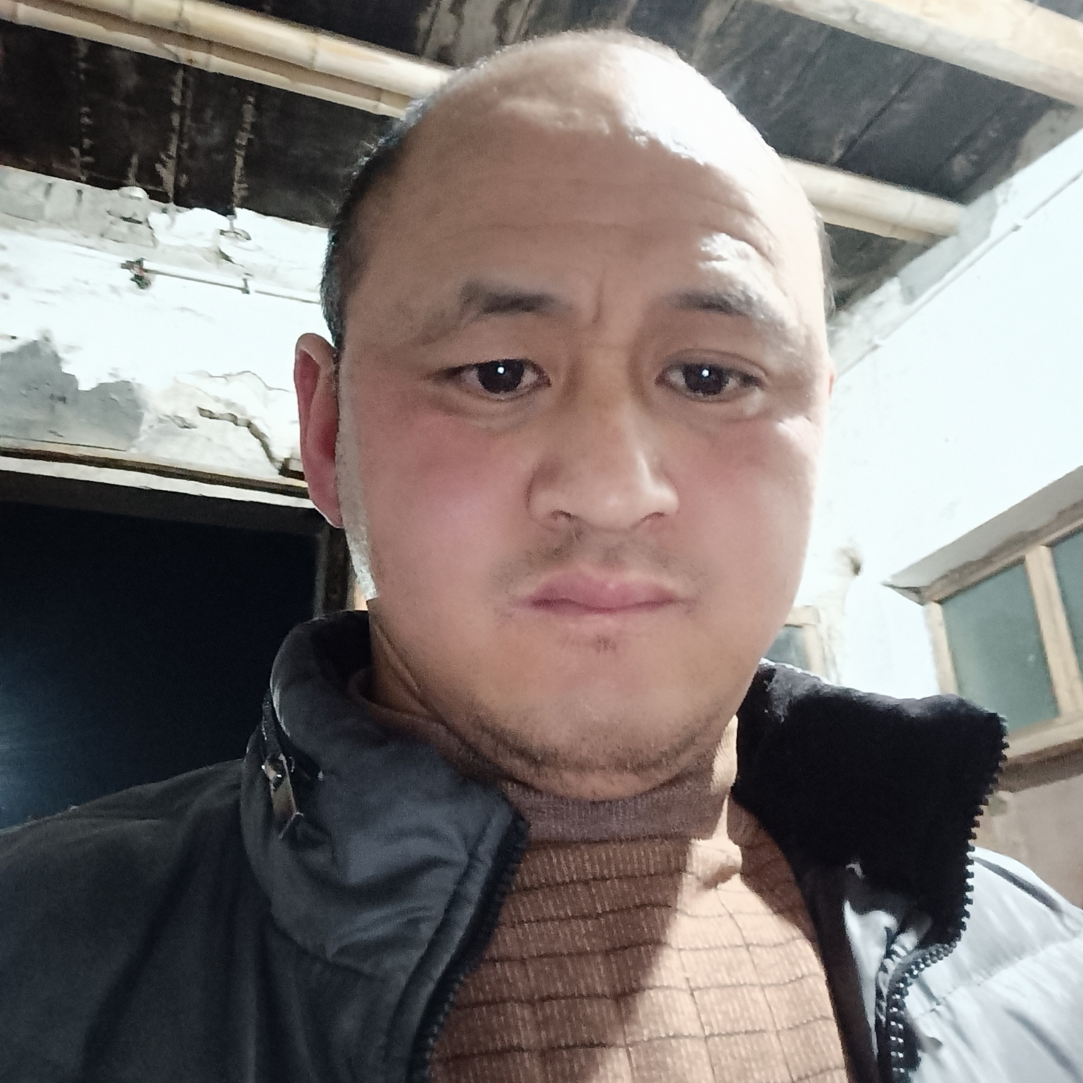 洋葱演变闪闪的照片