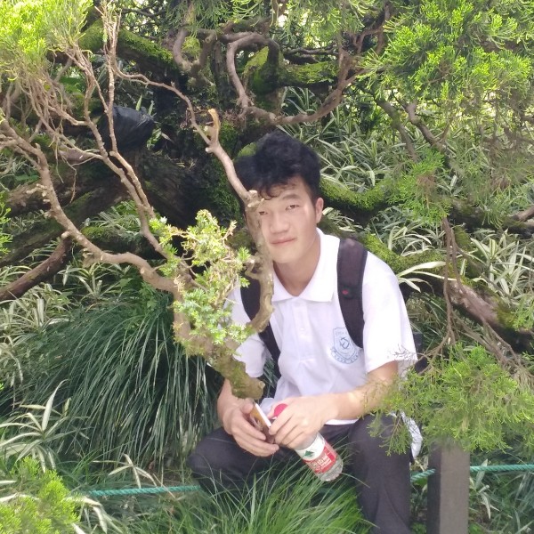 我家对面的照片