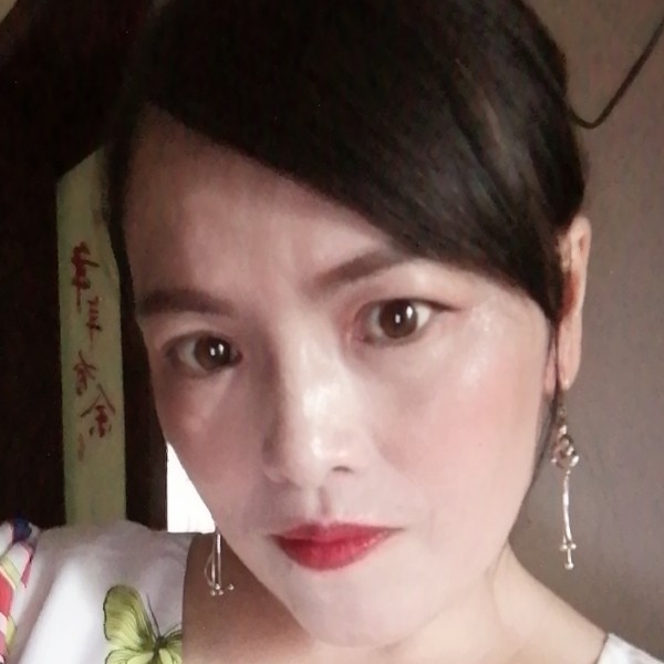 小猫咪停止个性的照片