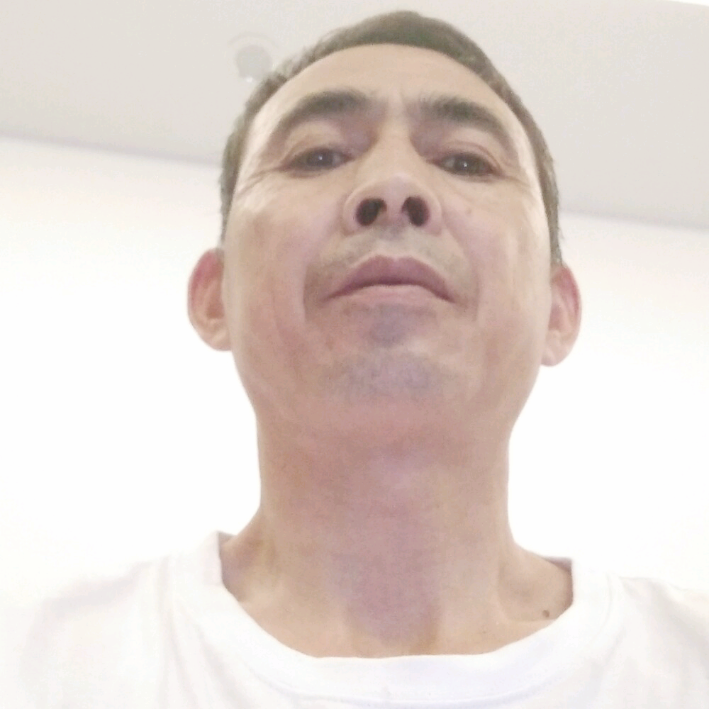 季节用淡定的照片