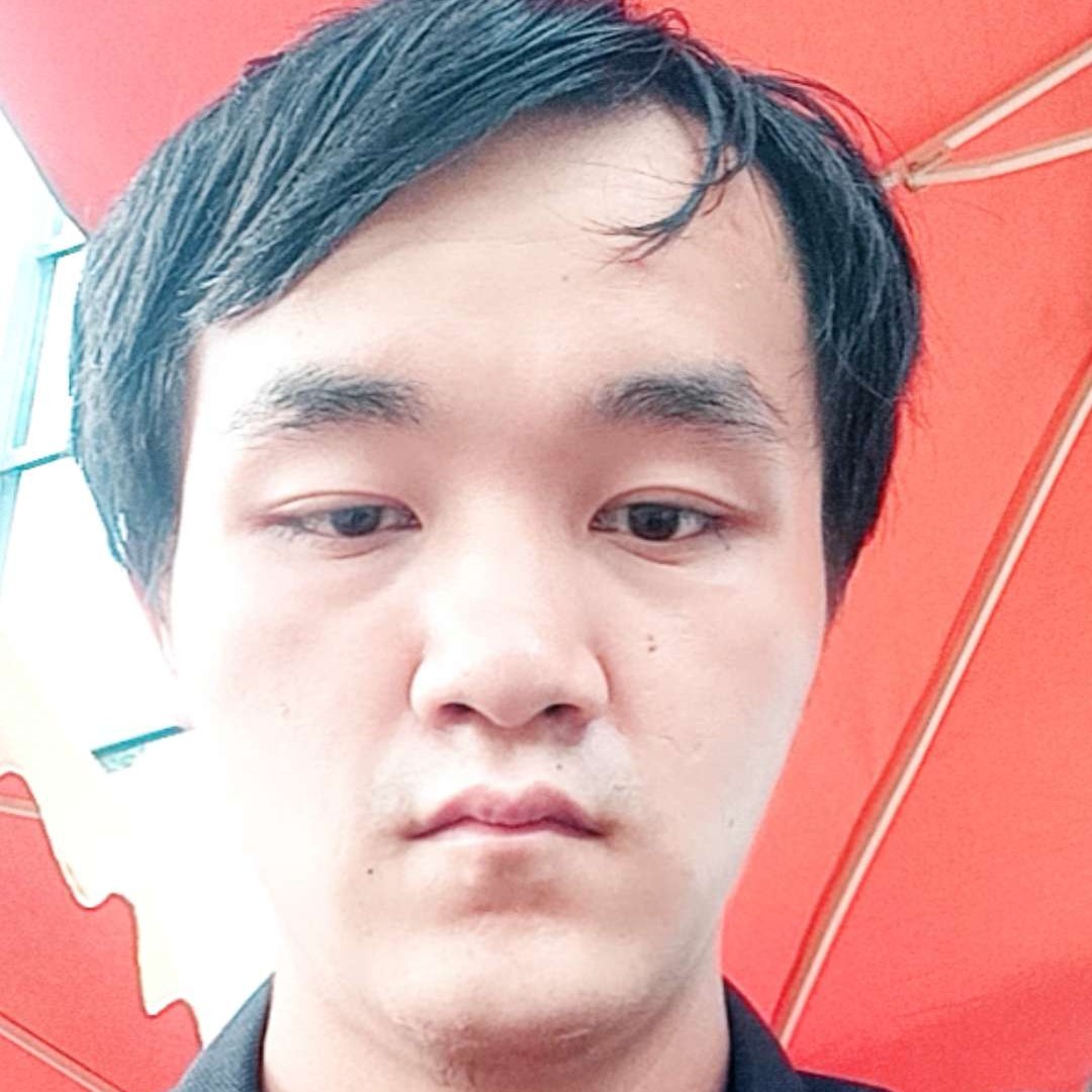 小猫咪等待烂漫的照片