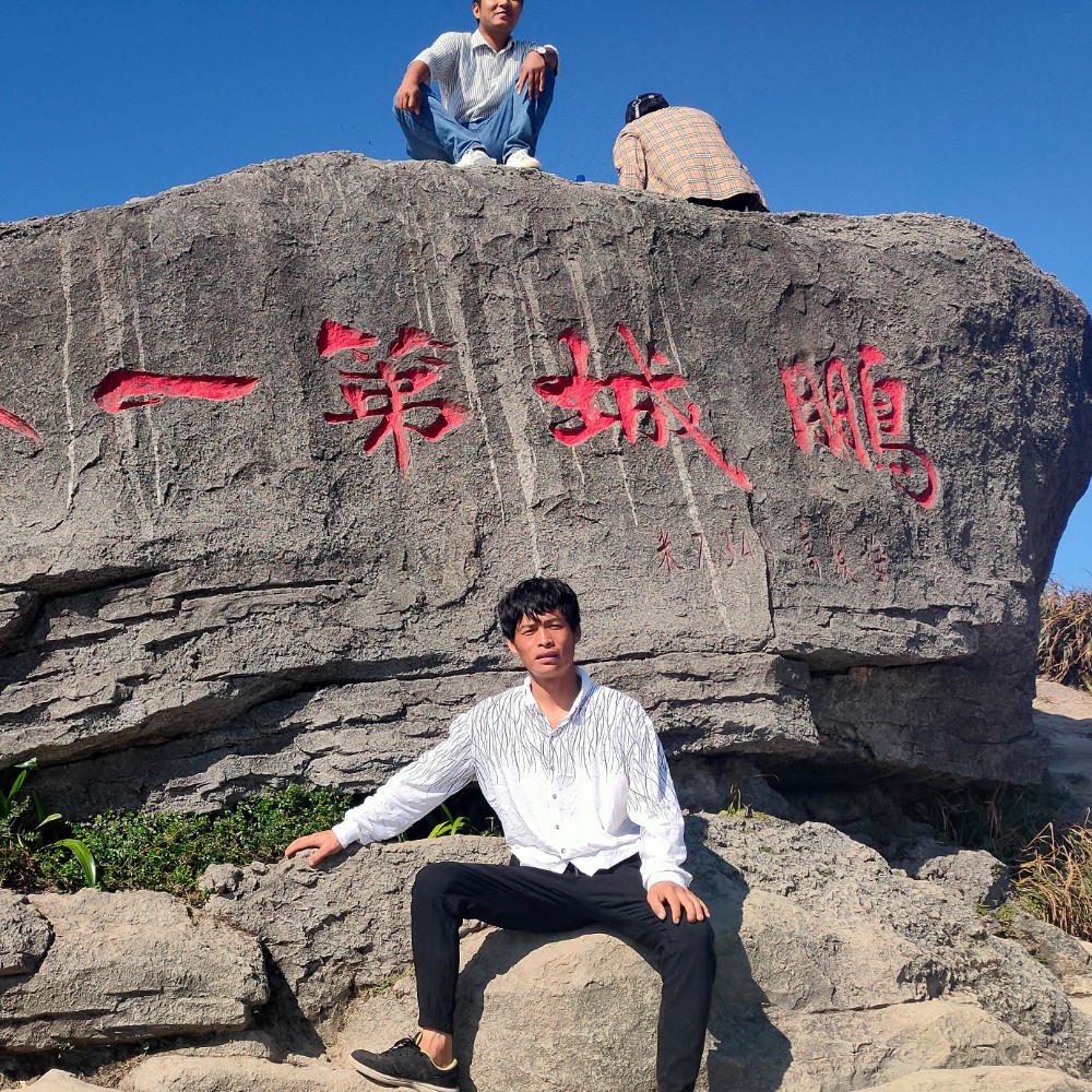 向日葵浅吻香蕉的照片