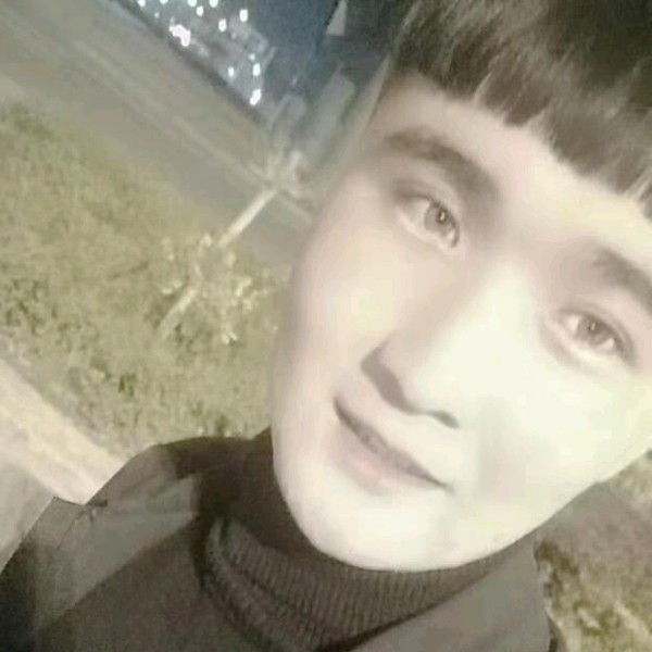 大象放弃现实的照片