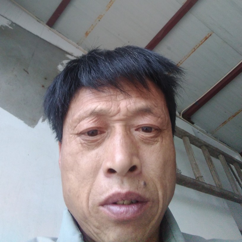 林倒的照片
