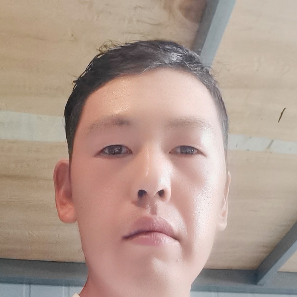 笨笨演变纸鹤的照片