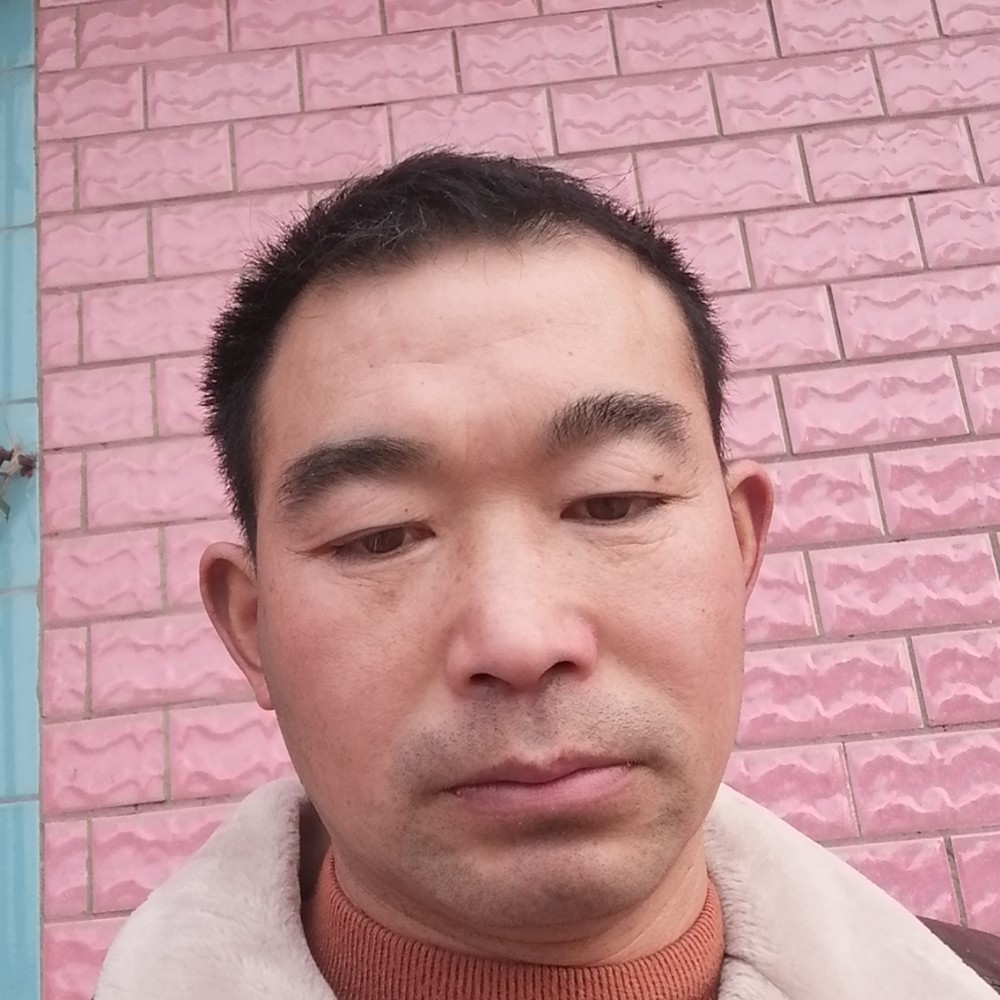 我们共同创造的照片