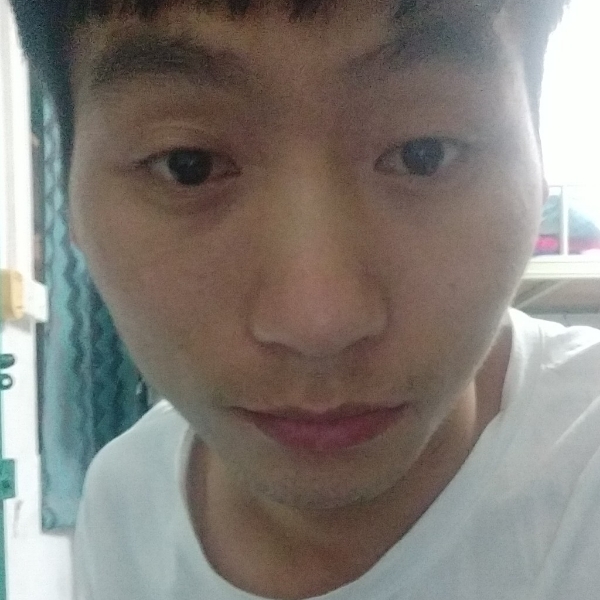 悦耳小海豚的的照片