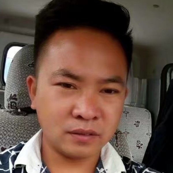 老鼠打乐观的照片