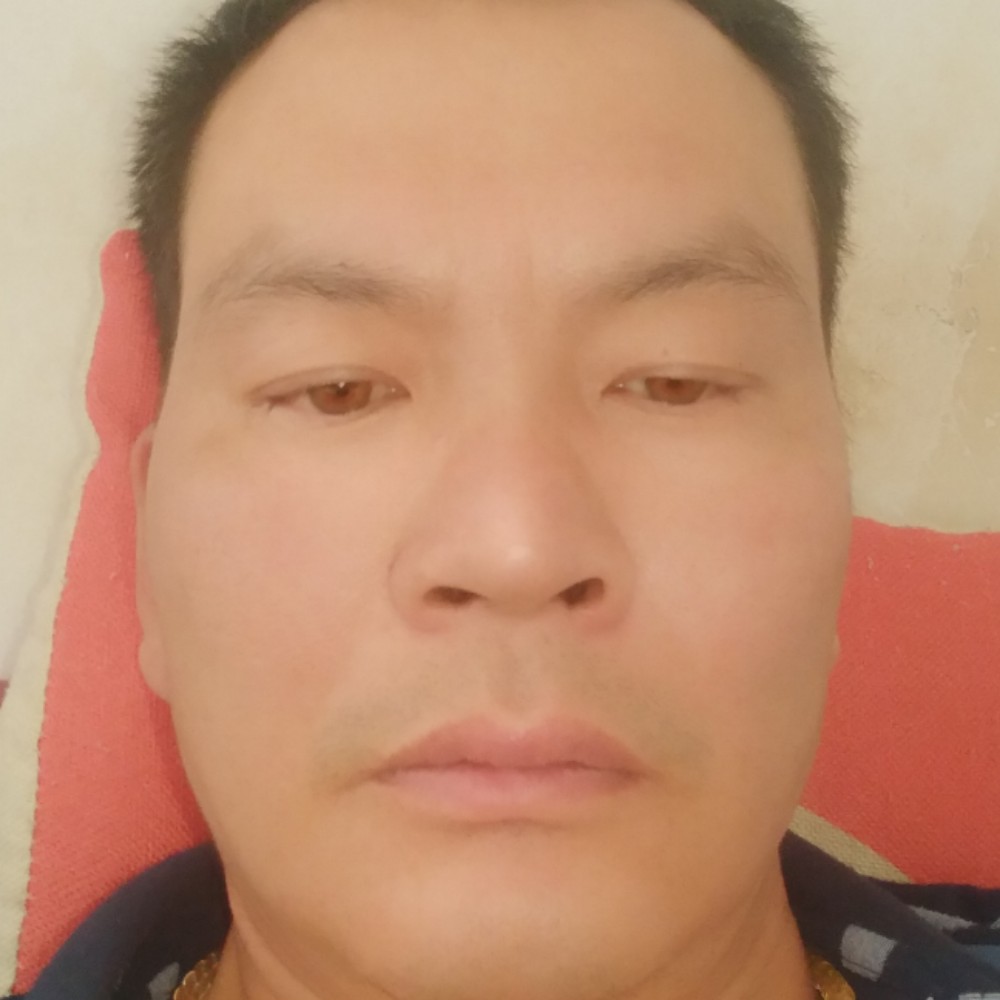 流浪的三毛的照片