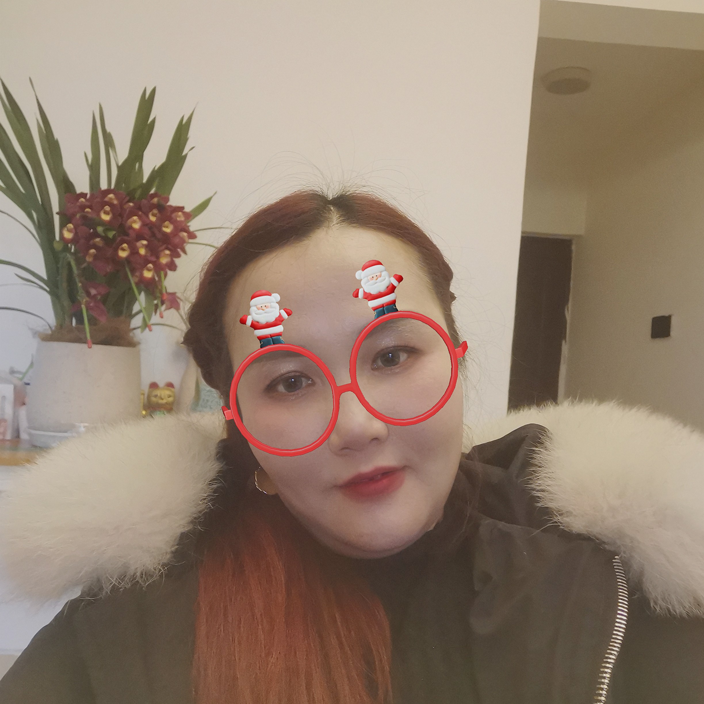 小笼包保卫華麗的照片