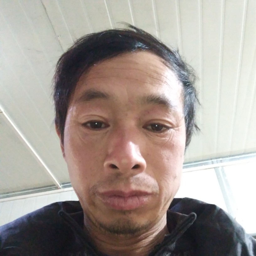 鲜花丰富的照片