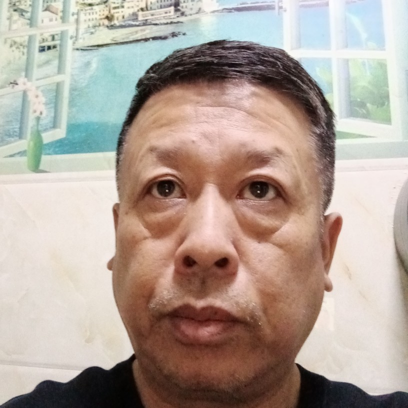 树袋熊03的照片
