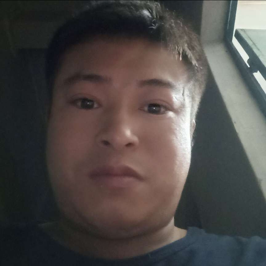 无心向仙人掌的照片