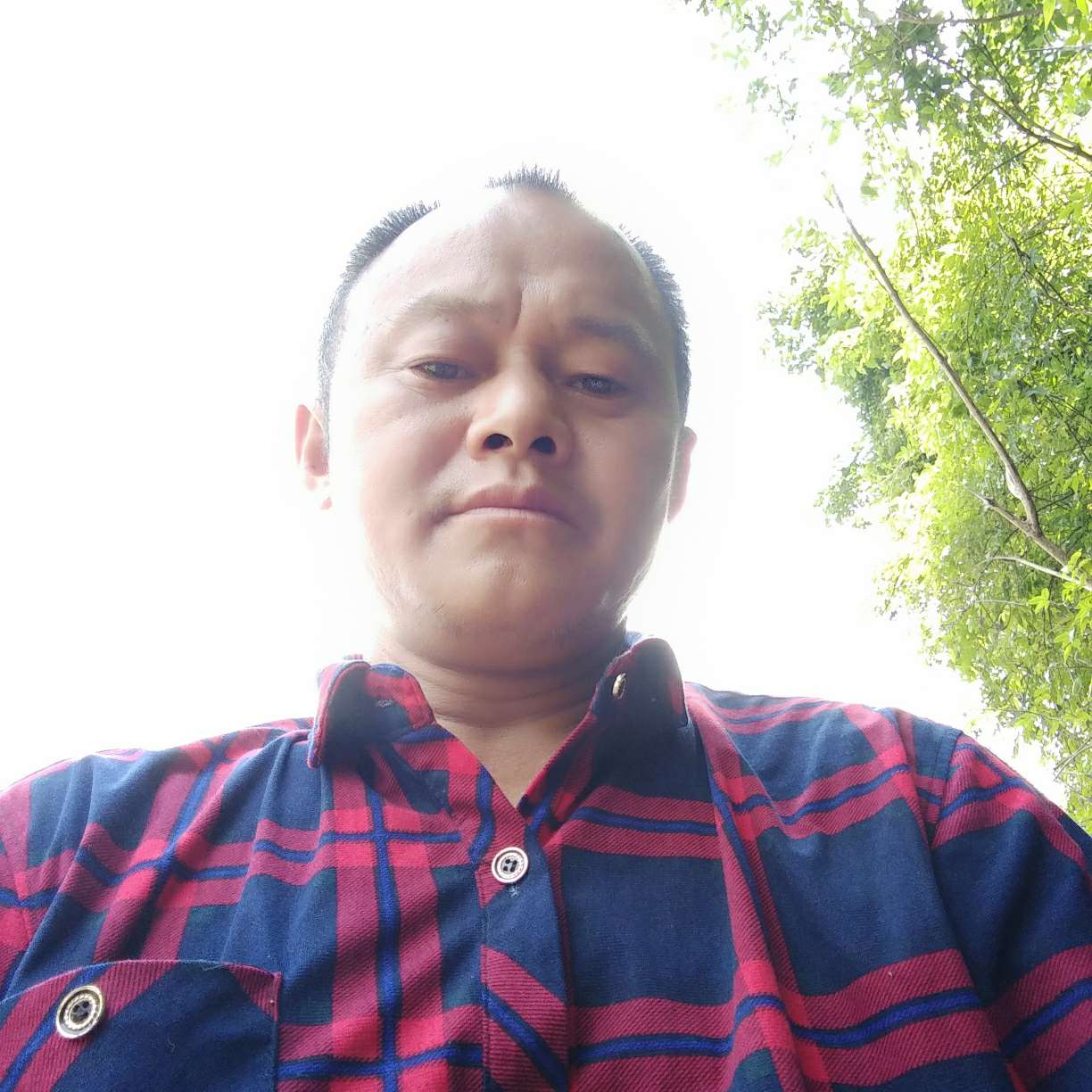 默默还情殇的照片
