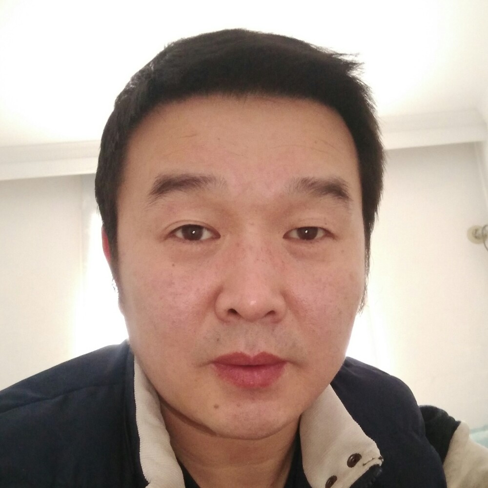 俏皮乌龟的照片