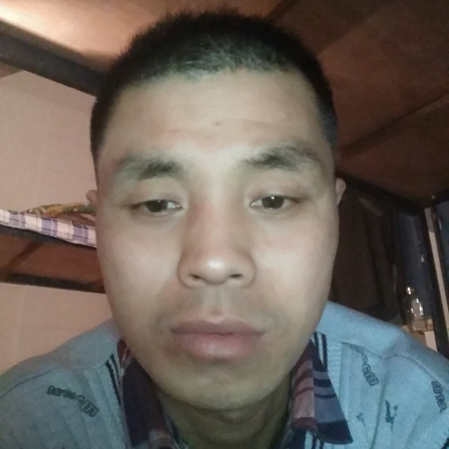 孤翼苦的照片