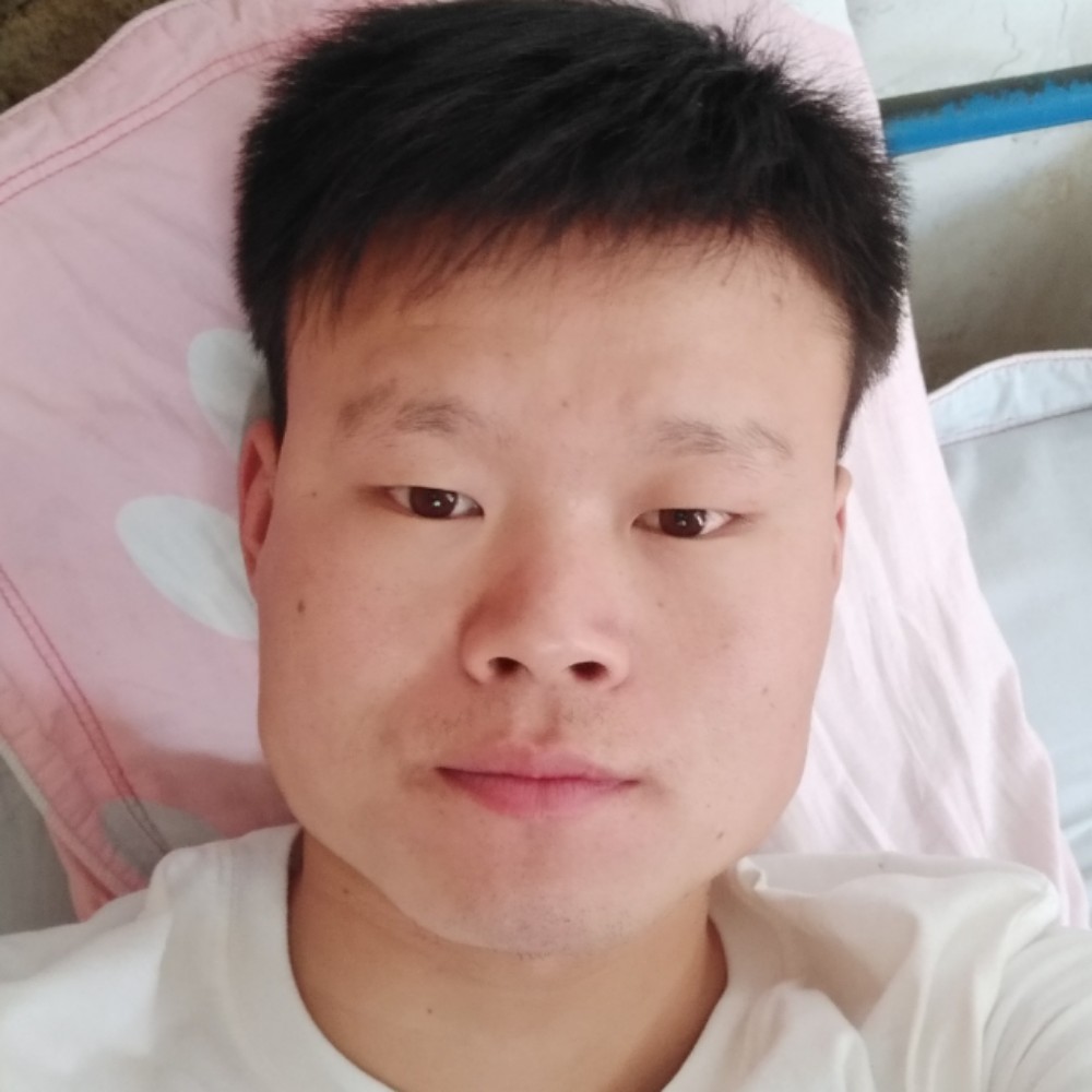 粗暴鸵鸟的照片