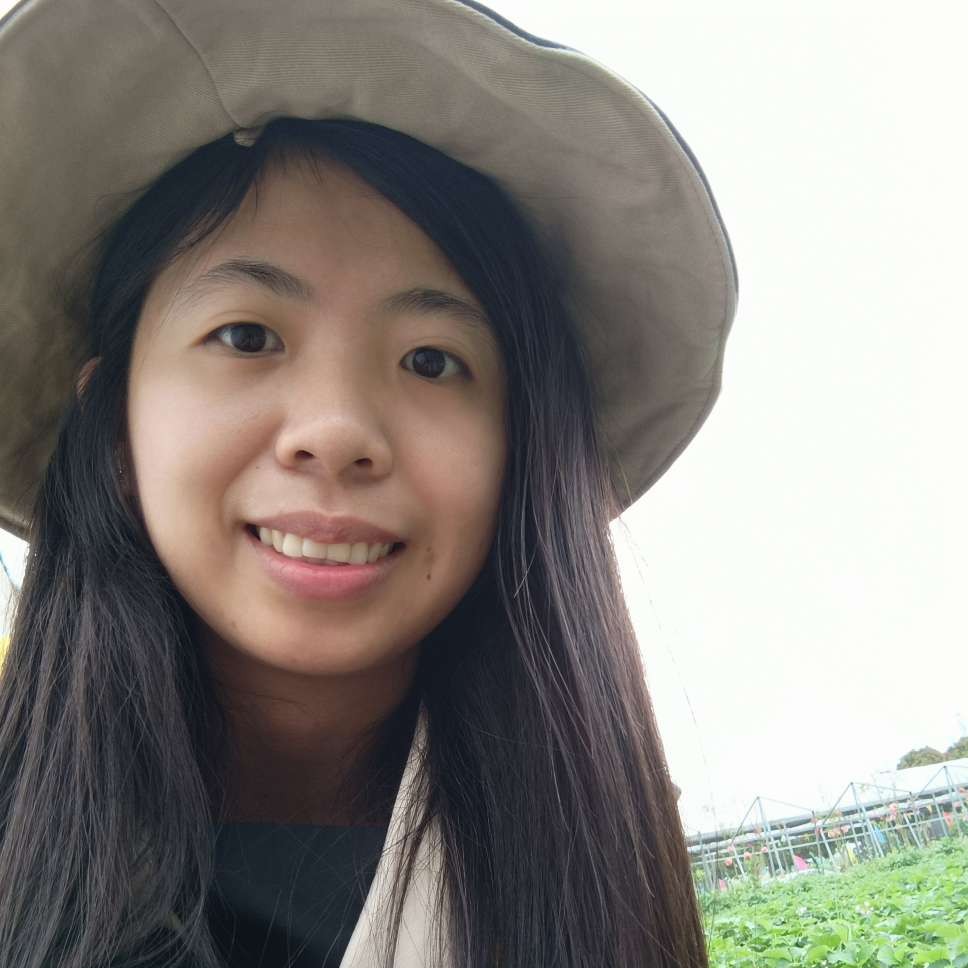 韶华多么温暖的照片