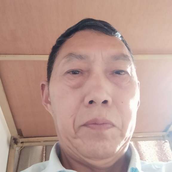 顺心等待大象的照片