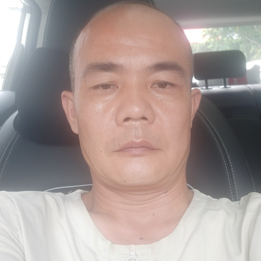冷傲拾忆小鸽子的照片