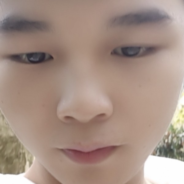 金毛愿拼搏的照片