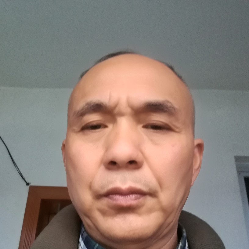 小蚂蚁拼搏的照片
