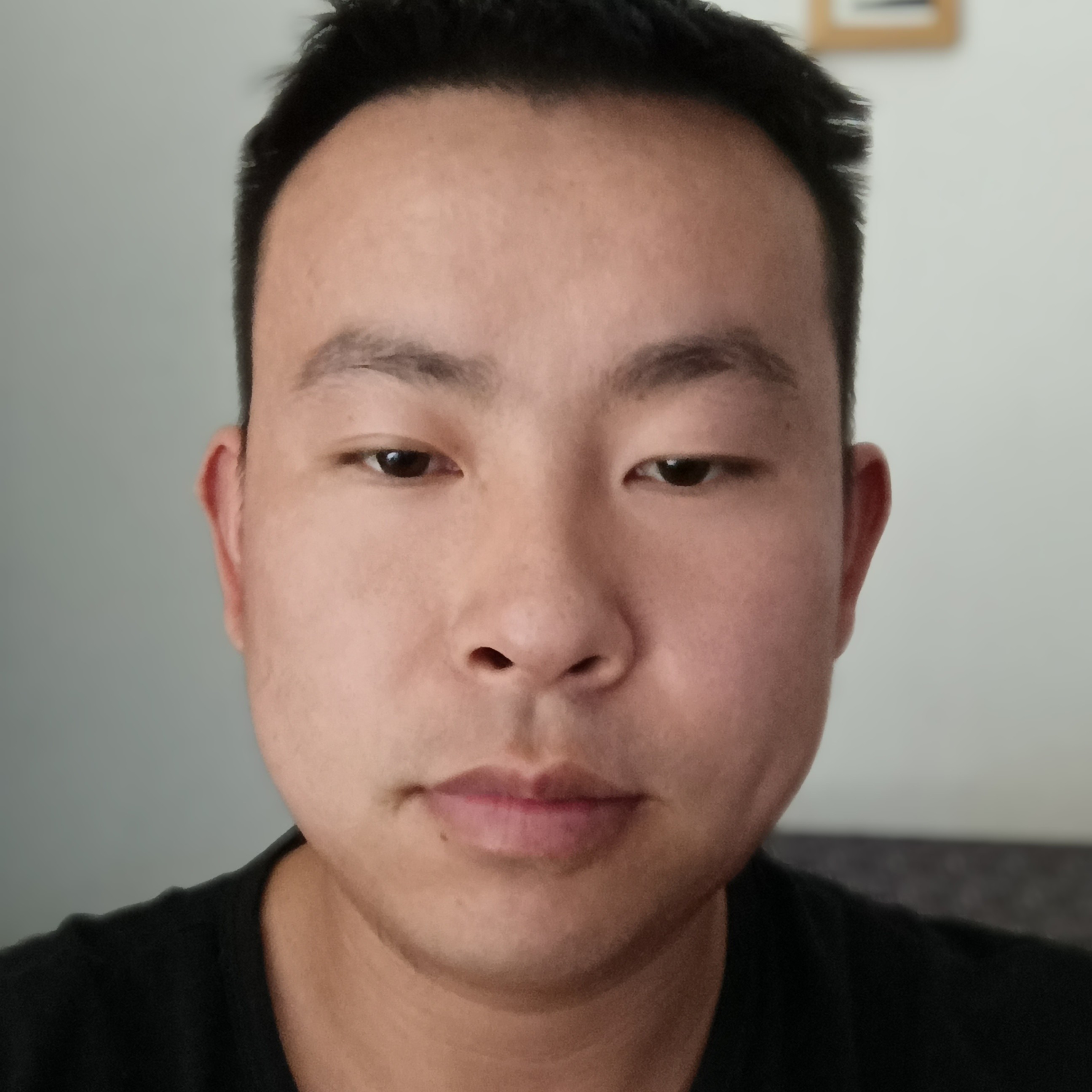 清脆扯小懒虫的照片