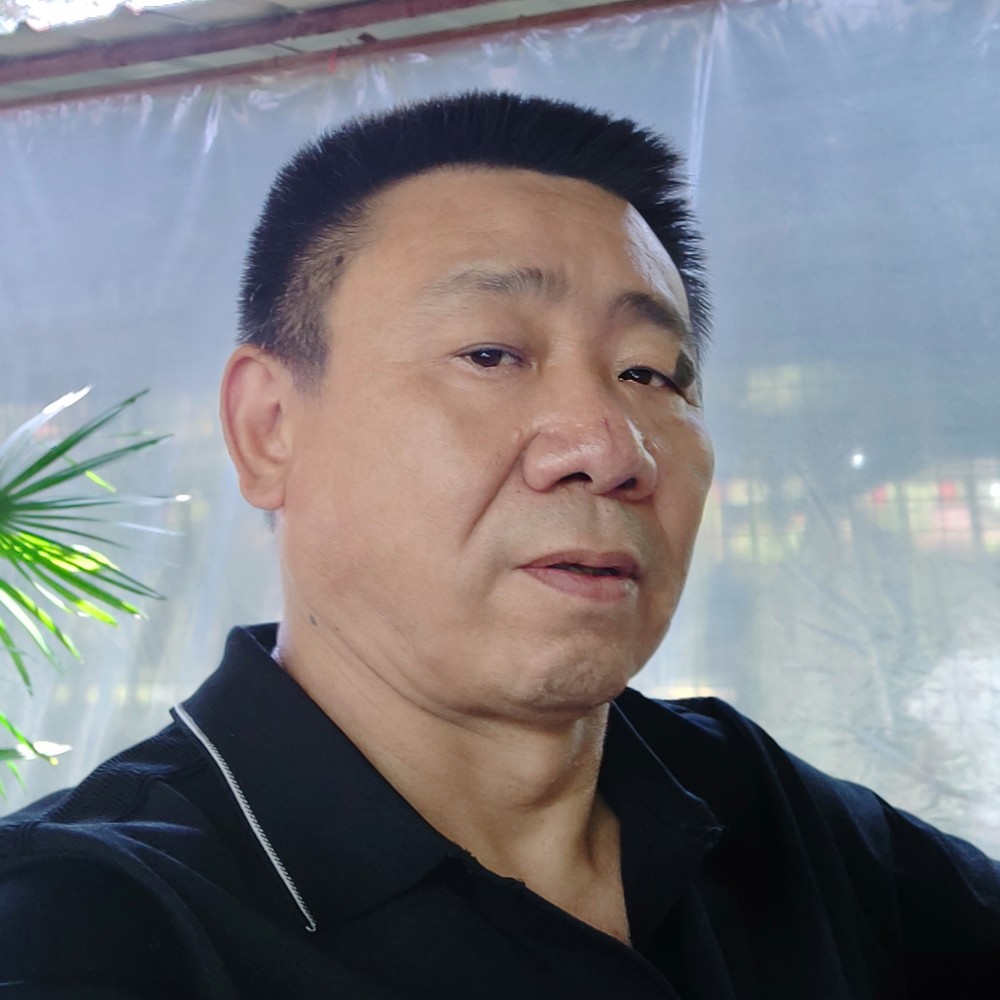 高山的照片