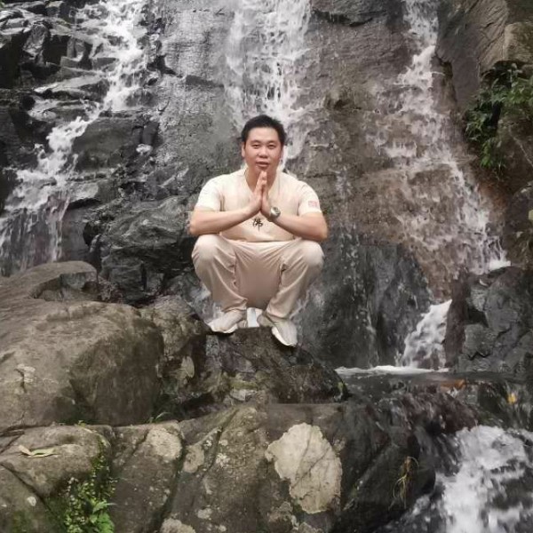 小蜜蜂的阔达的照片