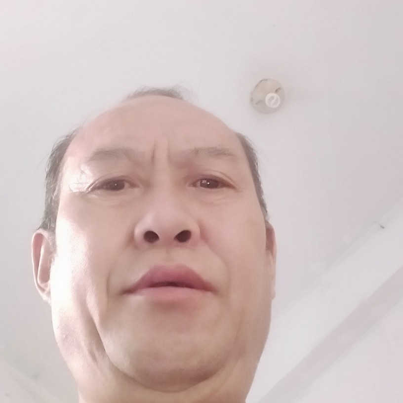 机智蹙眉冬天的照片
