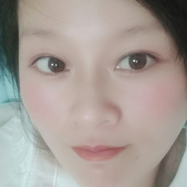 小鸽子儒雅的照片