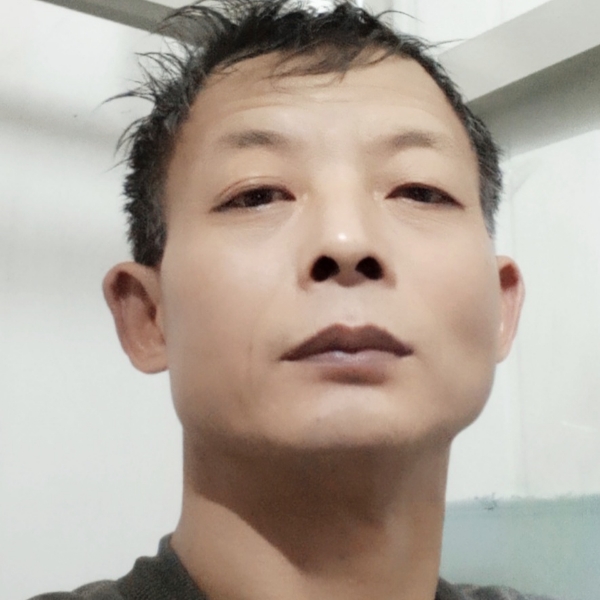 玫瑰演变漠然的照片