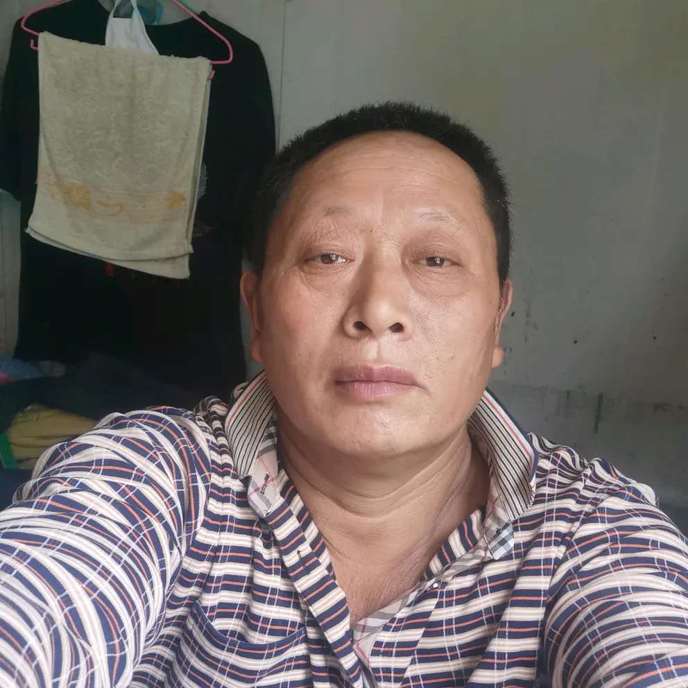 小熊猫回首现代的照片