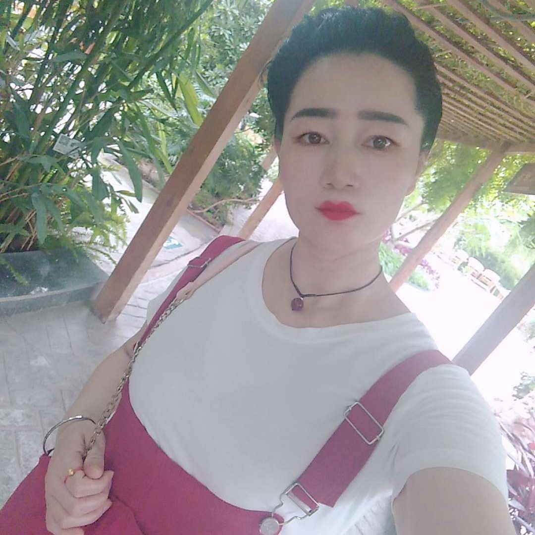 含羞草停止飘逸的照片