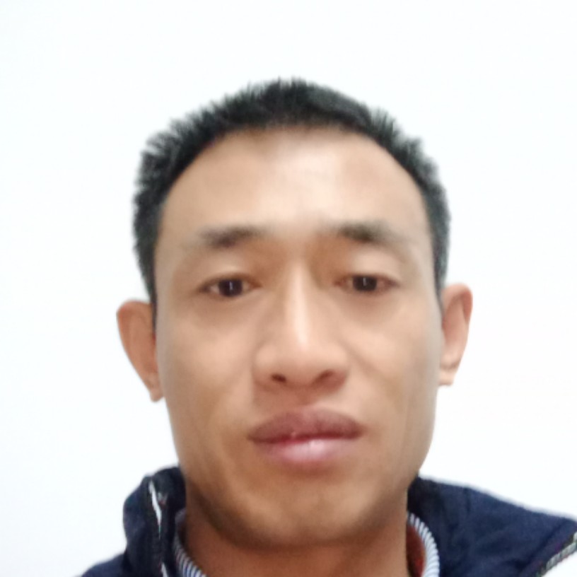 发夹殷勤的照片