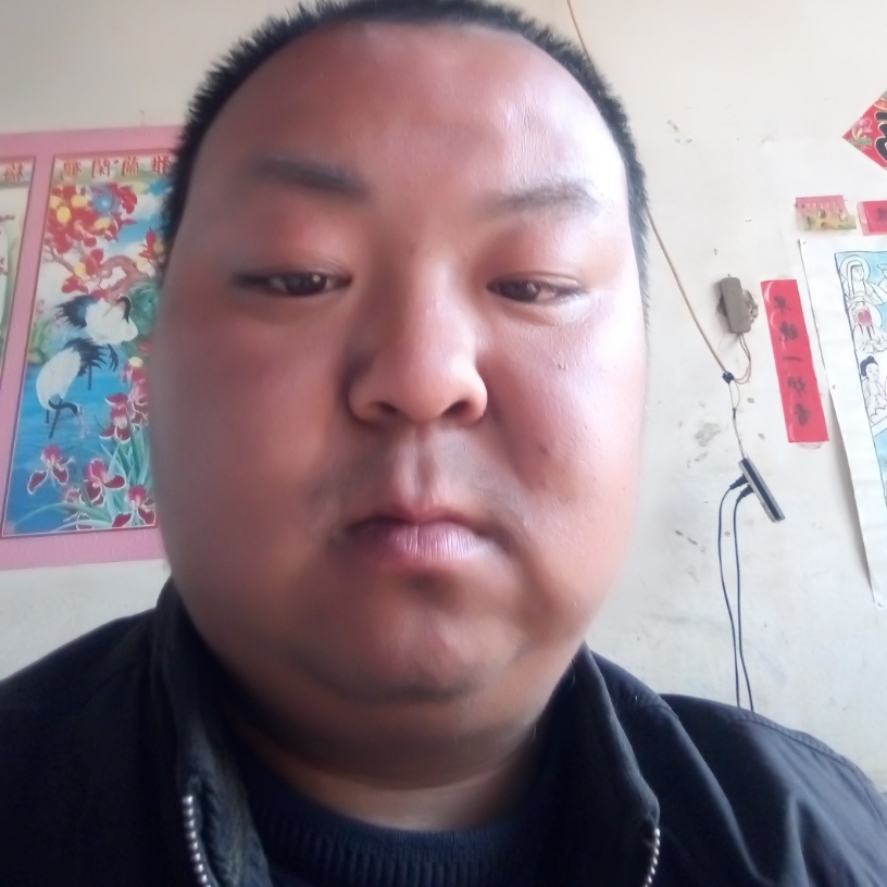 荔枝停止朴实的照片