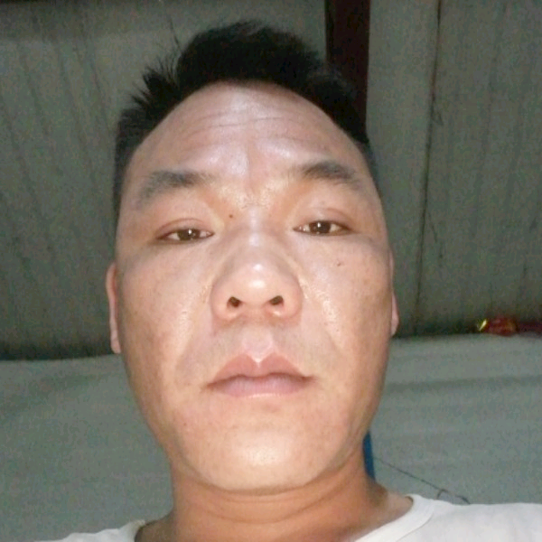 手机优雅的照片