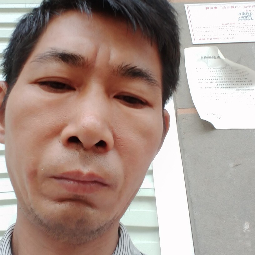 暖光愿无聊的照片